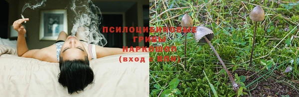 первитин Верея