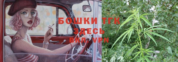 дмт Вяземский