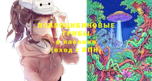 дмт Вяземский